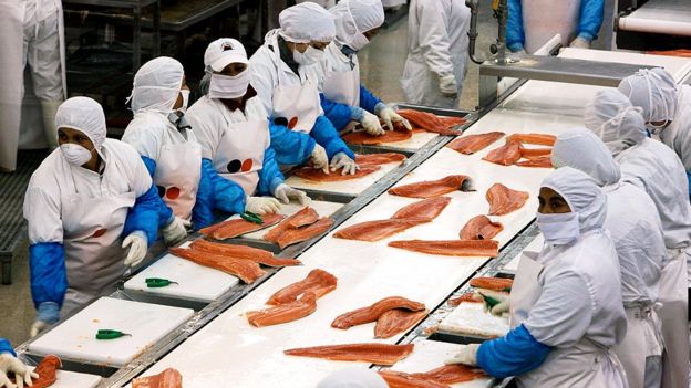 Coronavirus en China: por qué las autoridades de Pekín culpan al salmón del nuevo brote de Covid-19